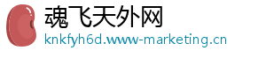 魂飞天外网